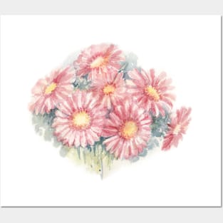 Pink Gerbera Hybrida. Watercolor Illustration. Posters and Art